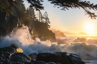 Evergreen Coastal Sunrise Over Crashing Waves