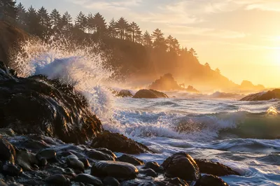 Evergreen Cliffs at Ocean Sunrise