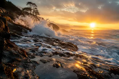 Evergreen Cliffs and Crashing Waves at Sunrise
