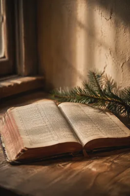 Vintage Open Bible with Evergreen Sprig