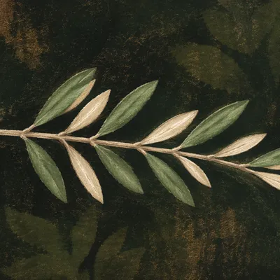 Olive Branch Peace in Evergreen Light