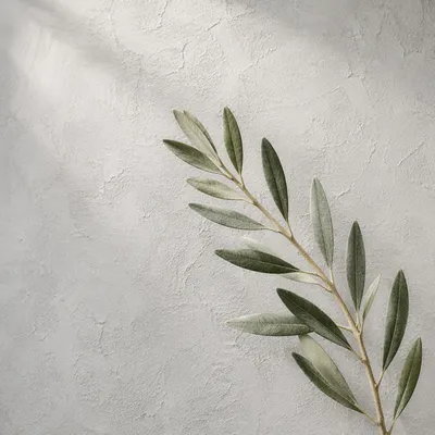 Minimal Olive Branch Peace Symbol