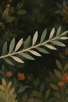 Olive Branch Peace Symbol in Sunlight