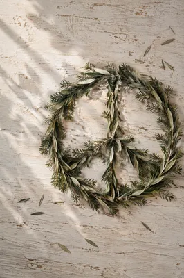 Olive Branch Peace Symbol with Evergreens