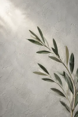 Minimal Olive Branch Peace Symbol