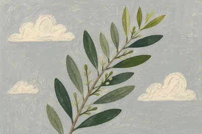 Evergreen Olive Branch Peace Symbol