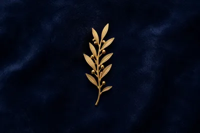 Gold Olive Branch Pin on Navy Velvet