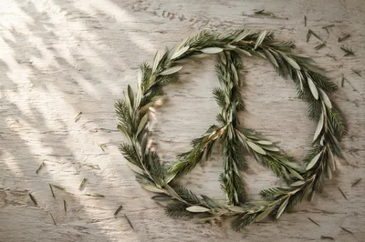 Olive Branch Peace Symbol with Evergreens