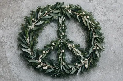 Olive Branch Peace Symbol on Evergreen
