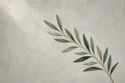 Minimal Olive Branch Peace Symbol