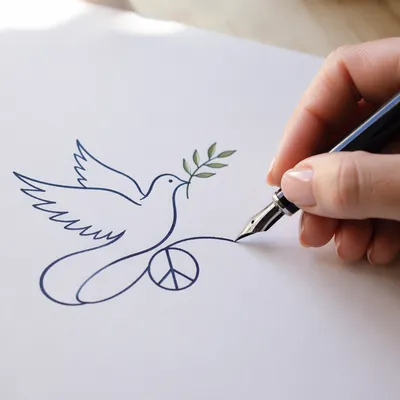 Hand Drawing Dove With Olive Branch