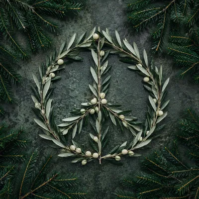 Olive Branch Peace Symbol on Evergreen