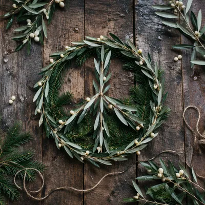 Olive Branch Peace Symbol on Evergreen