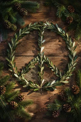 Olive Branch Peace Symbol on Evergreen