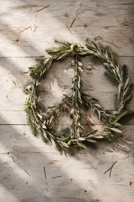 Olive Branch Peace Symbol with Evergreen Sprigs