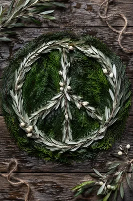 Olive Branch Peace Symbol on Evergreens