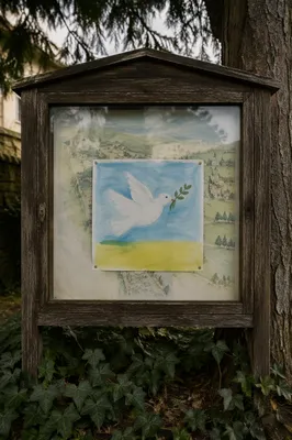 Olive Branch Dove on Evergreen Notice Board
