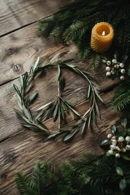 Olive Branch Peace Motif with Evergreens