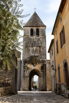Olive Branch Framing Historic Church Gate