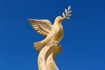 Sandstone Dove with Evergreen Olive Branch