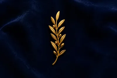 Gold Olive Branch Pin on Navy Velvet