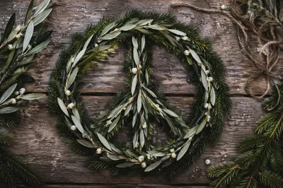Olive Branch Peace Symbol on Evergreens