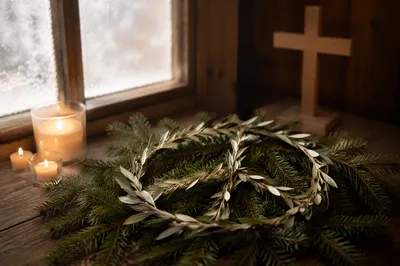 Olive Branch Peace Symbol on Evergreen