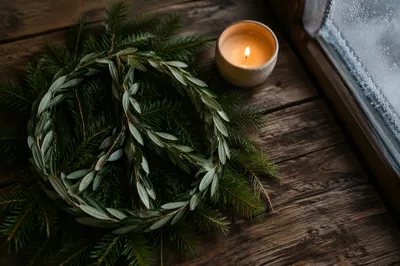 Olive Branch Peace Symbol on Evergreens