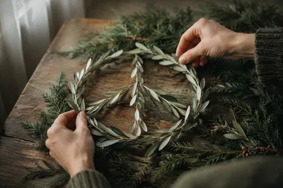 Olive Branch Peace Symbol with Evergreen Sprigs