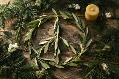 Olive Branch Peace Motif with Evergreens