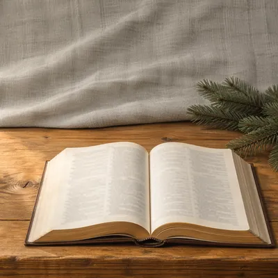 Open Bible with Evergreen Sprig on Wood