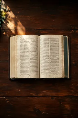 Open Bible on Dark Wooden Table