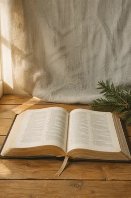 Open Bible with Evergreen on Wooden Table