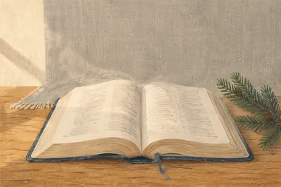 Open Bible with Evergreen on Wooden Table