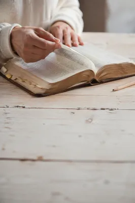 Open Bible with Hands in Morning Light