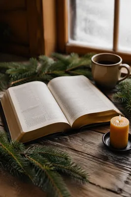 Open Bible with Evergreen Morning Light