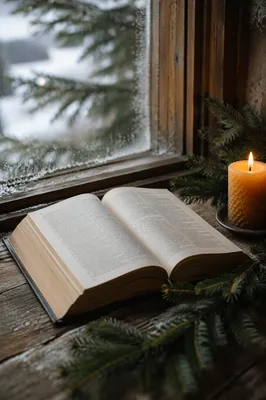 Open Bible with Evergreen Morning Light