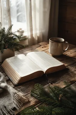 Open Bible on Rustic Winter Table