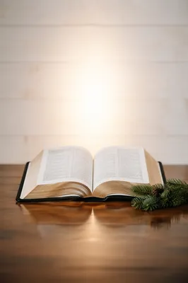 Open Bible with Evergreen Sprig on Wooden Table