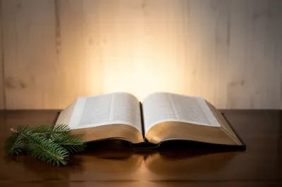 Open Bible with Evergreen Sprig on Wood