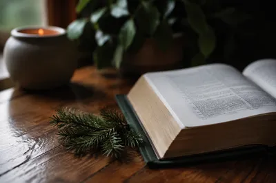 Open Bible on Evergreen Wooden Table