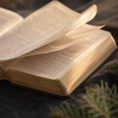 Open Bible Pages Turning in Gentle Breeze