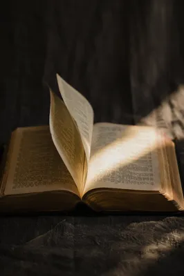 Open Bible Pages in Gentle Breeze