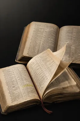 Open Bible Pages Turning in Gentle Wind
