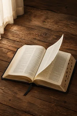 Open Bible Pages Turning in Breeze
