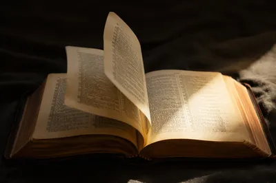 Open Bible Pages Turning in Gentle Light