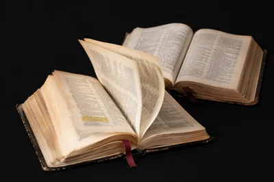 Open Bible Pages Turning in Gentle Wind
