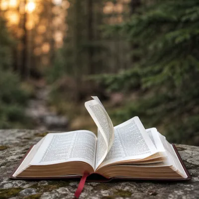 Open Bible Pages Turning in Evergreen Forest