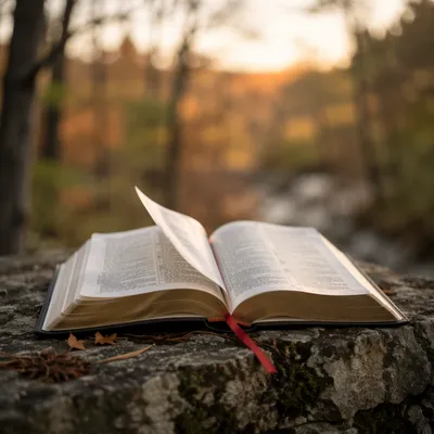 Open Bible Pages in Gentle Woodland Breeze