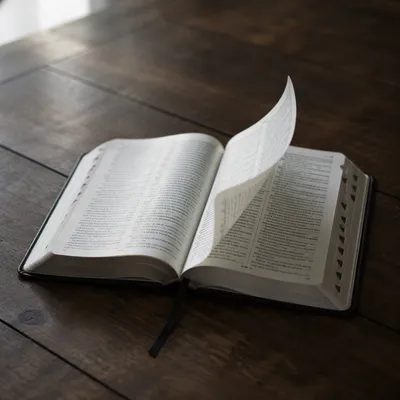 Open Bible Pages Turning in Gentle Breeze